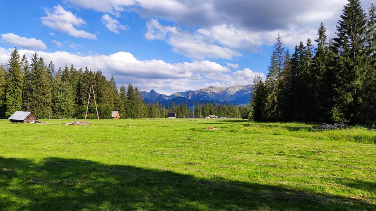 Domek Drewniany Szafran Witów Exterior foto